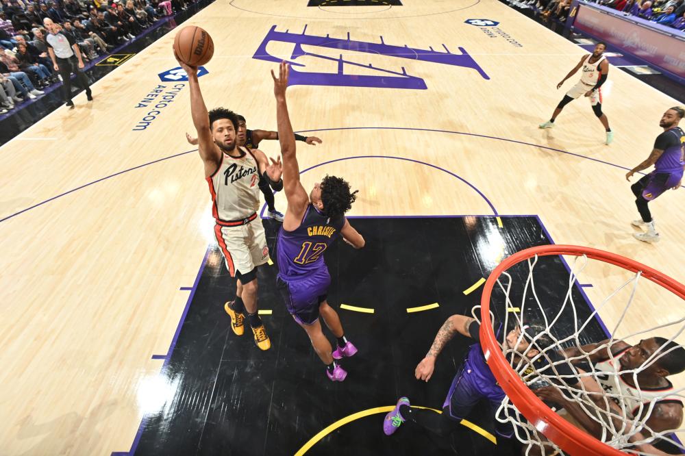 培养基地 培养基地